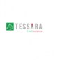 Tessara (PTY) LTD logo